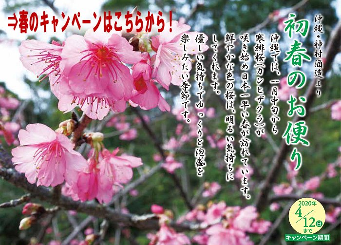 イベント・キャンペーン