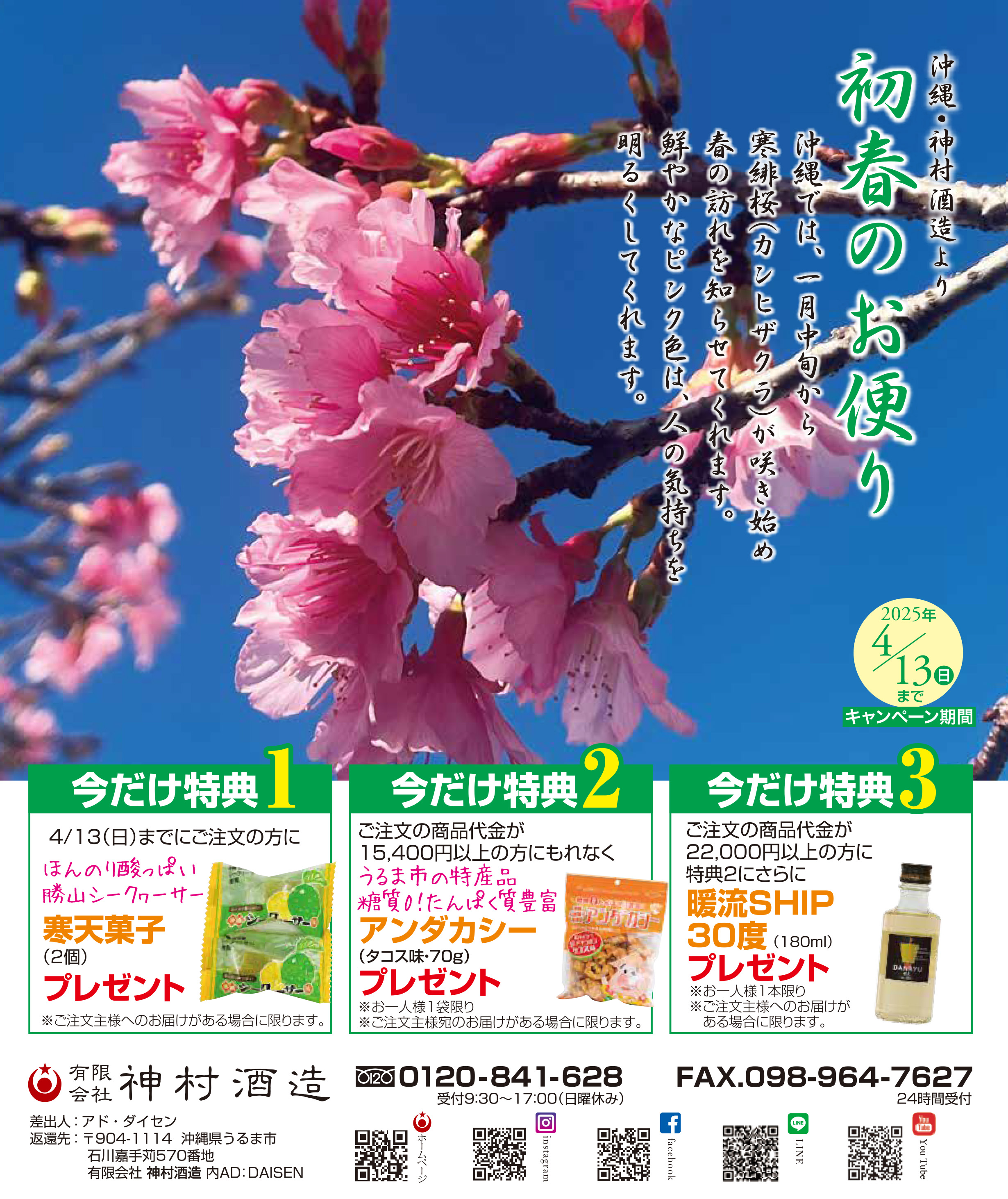 春のキャンペーン