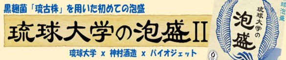 琉球大学の泡盛